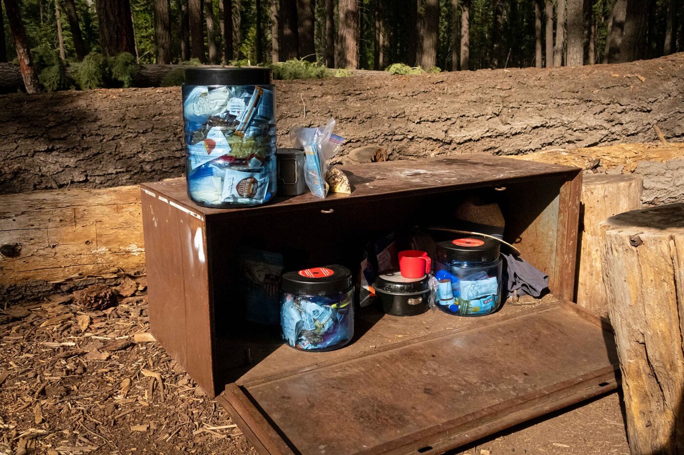 Bear-resistant food canisters sitting inside and on top of an open metal campground food locker