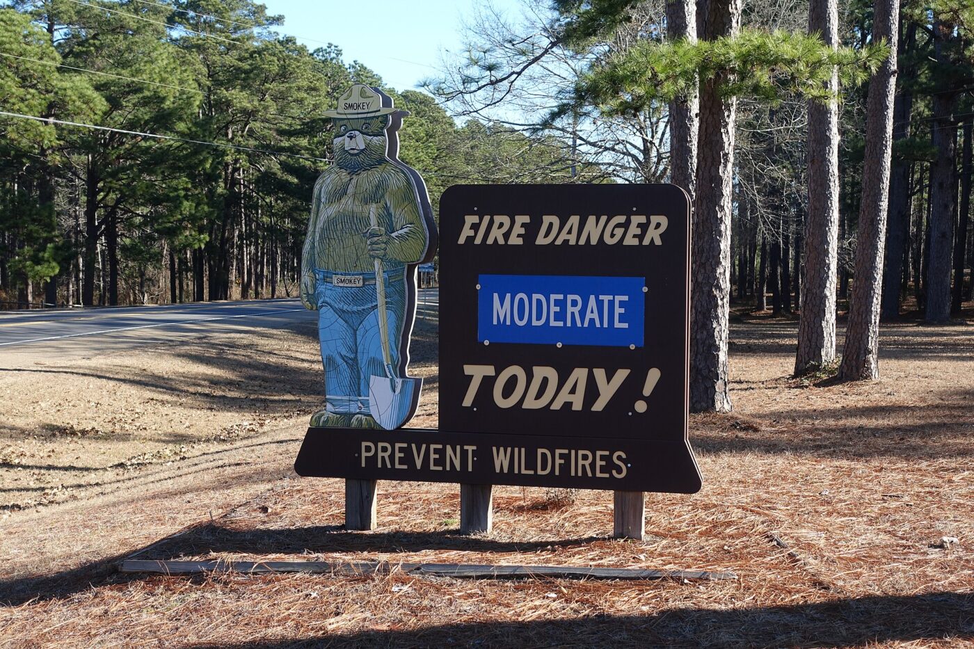 A roadside forest sign with a fire danger rating set to moderate among pines