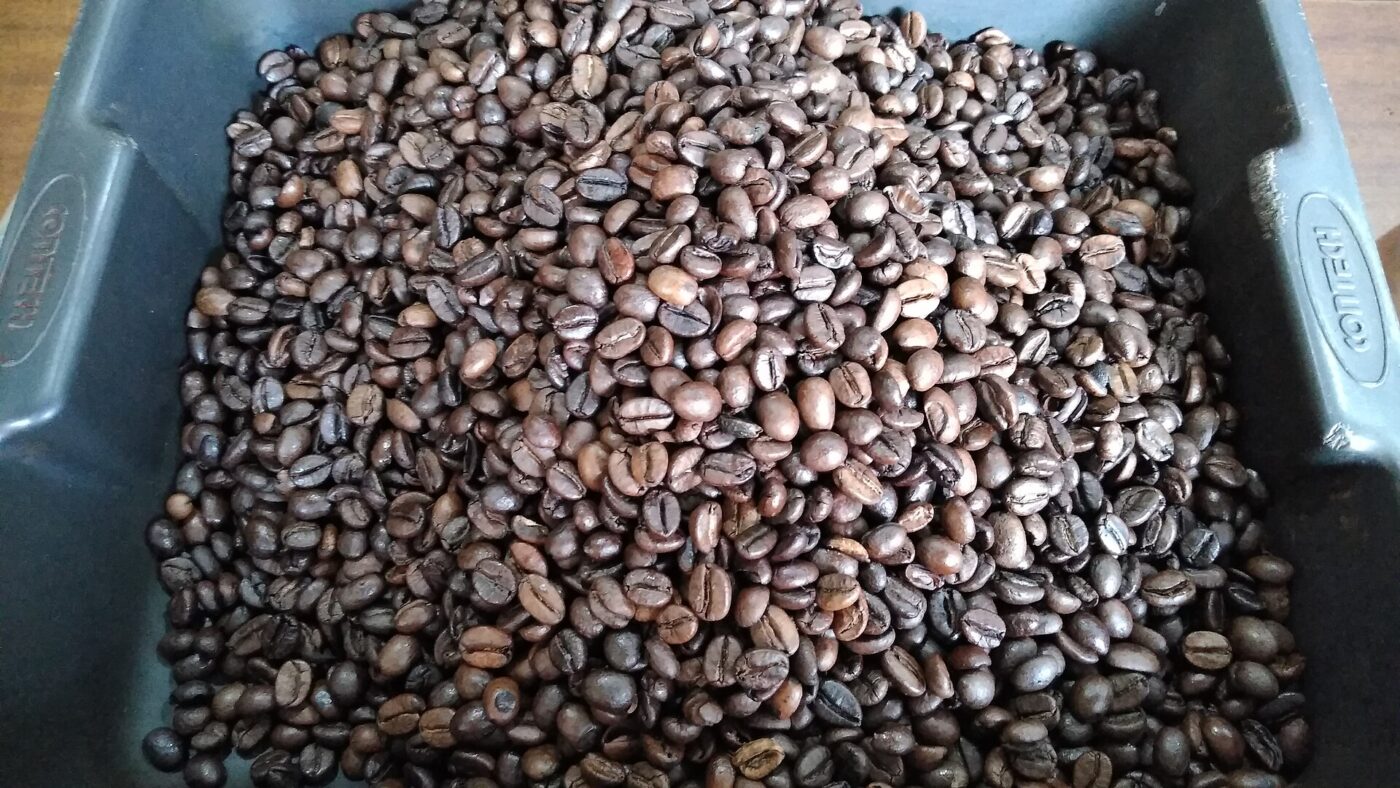 A gray bin filled with a mix of medium and dark roasted coffee beans