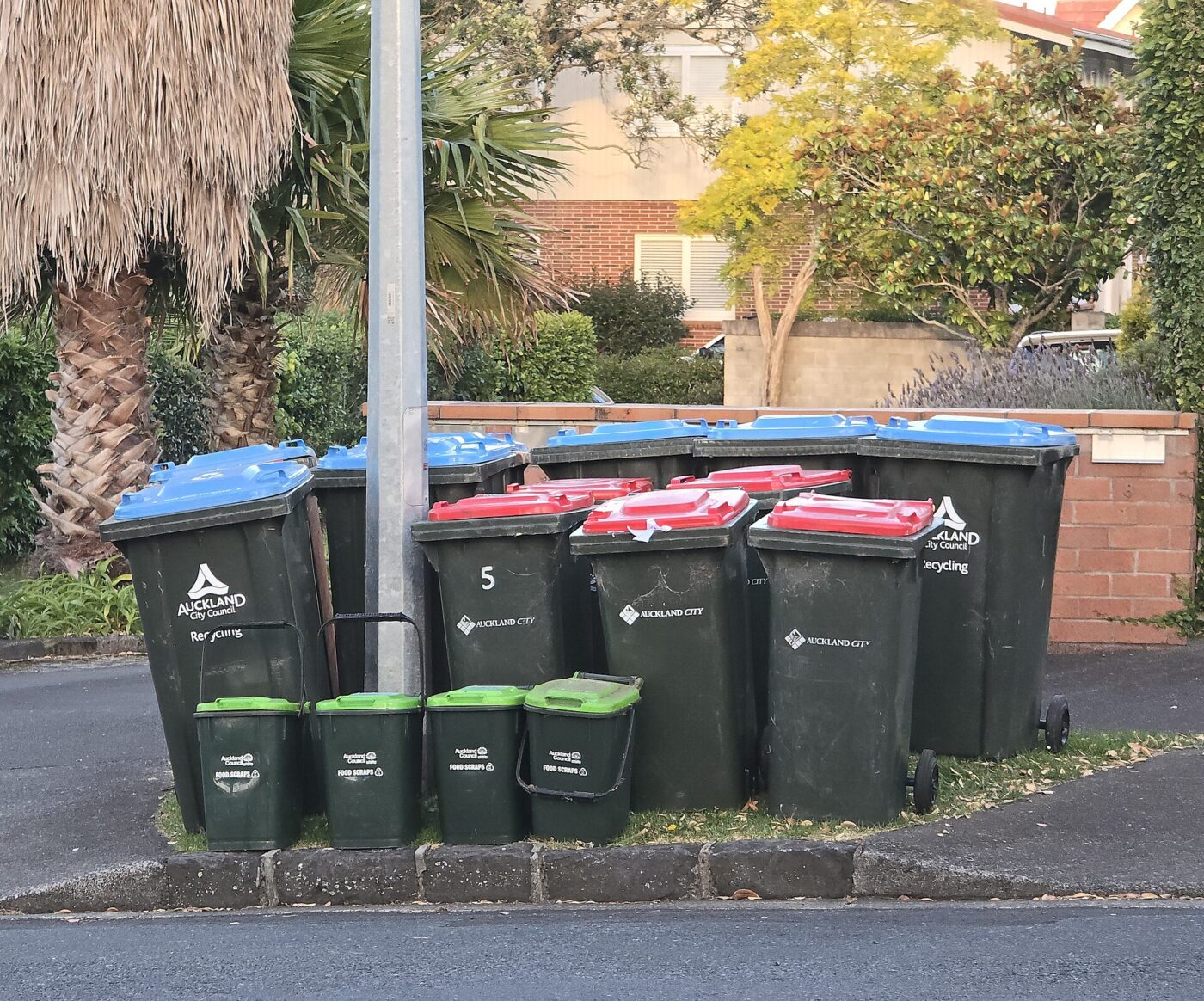 Wheeled waste bins and smaller caddies set out at the curb on a residential street.