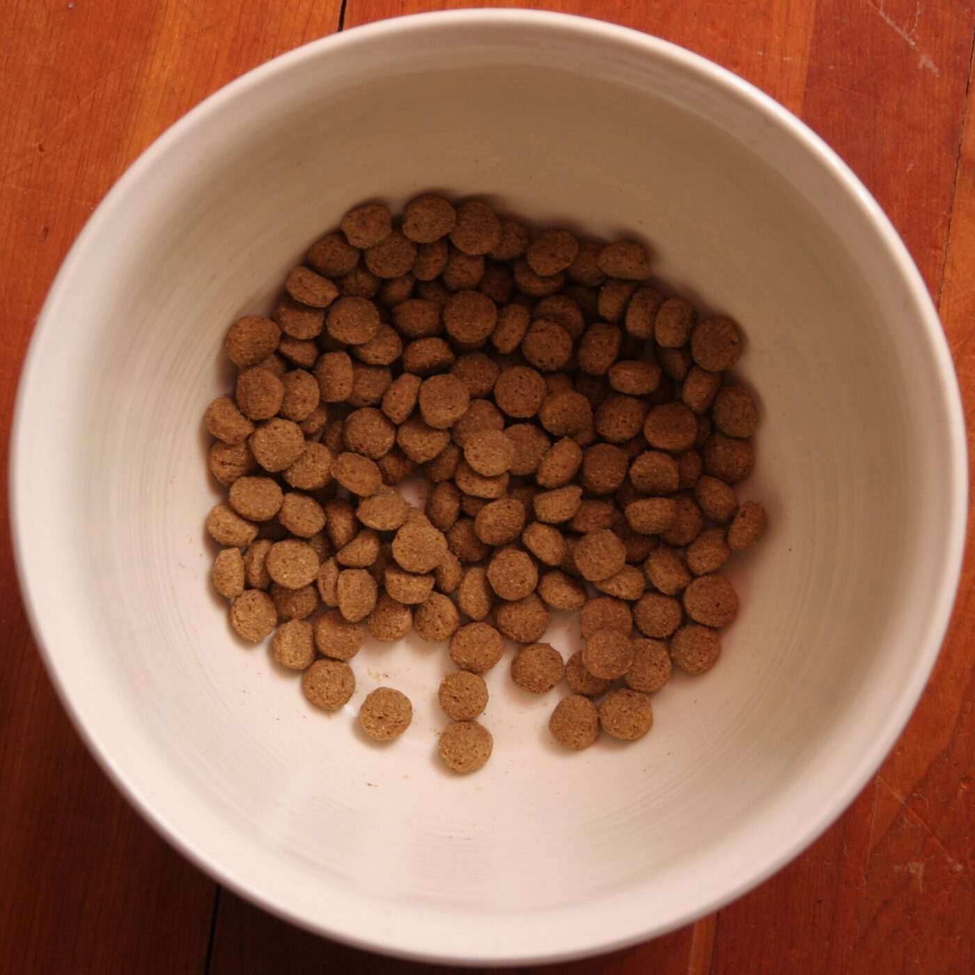A bowl of dry kibble, the everyday format that fresh dog food is trying to top up or replace