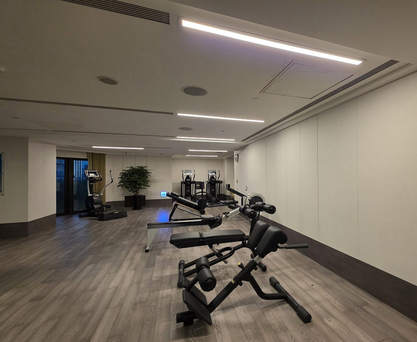 A quiet fitness room with weight benches, a treadmill and wood-look flooring.