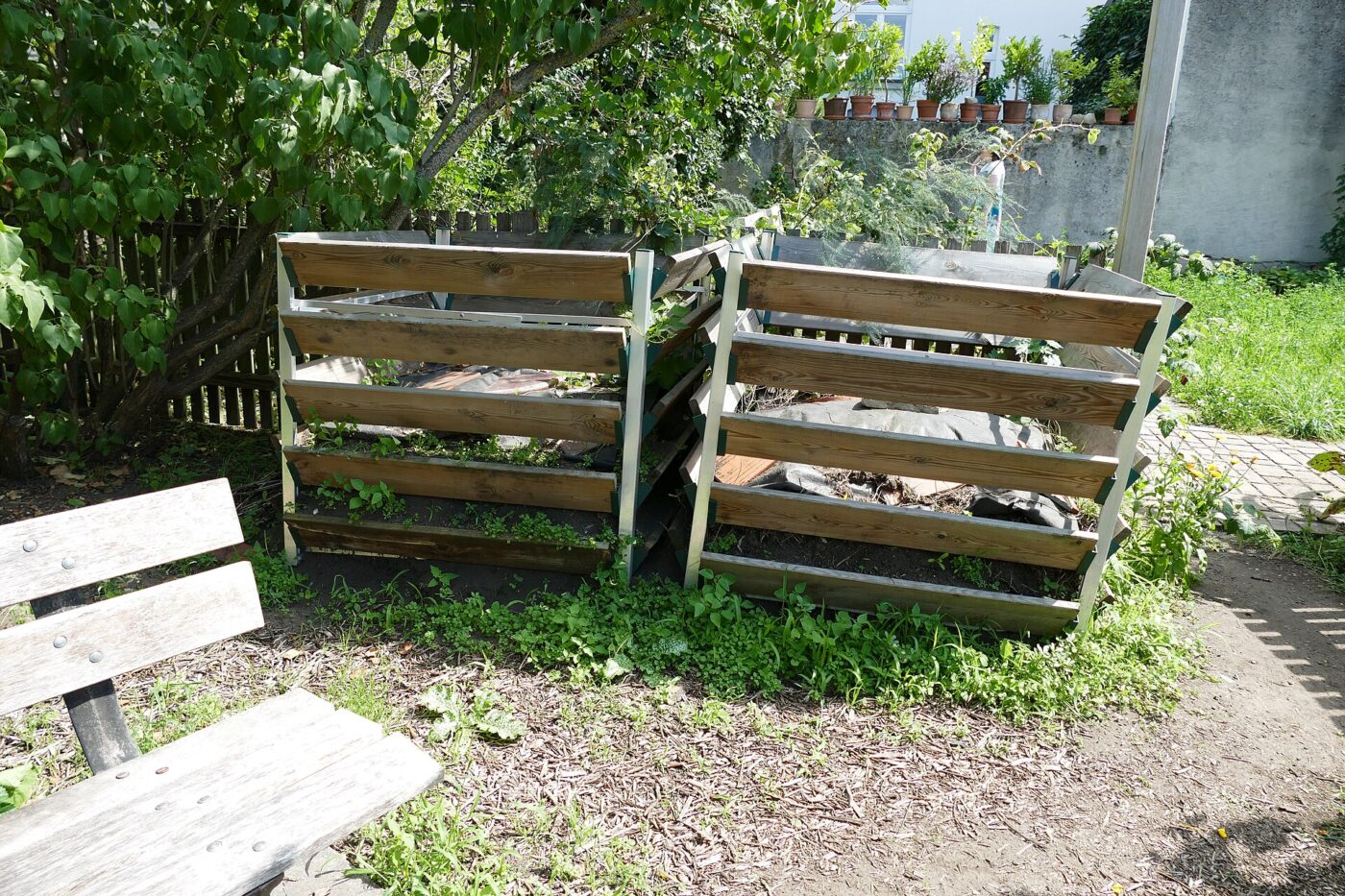 Two slatted wooden compost bins standing side by side in a backyard garden.
