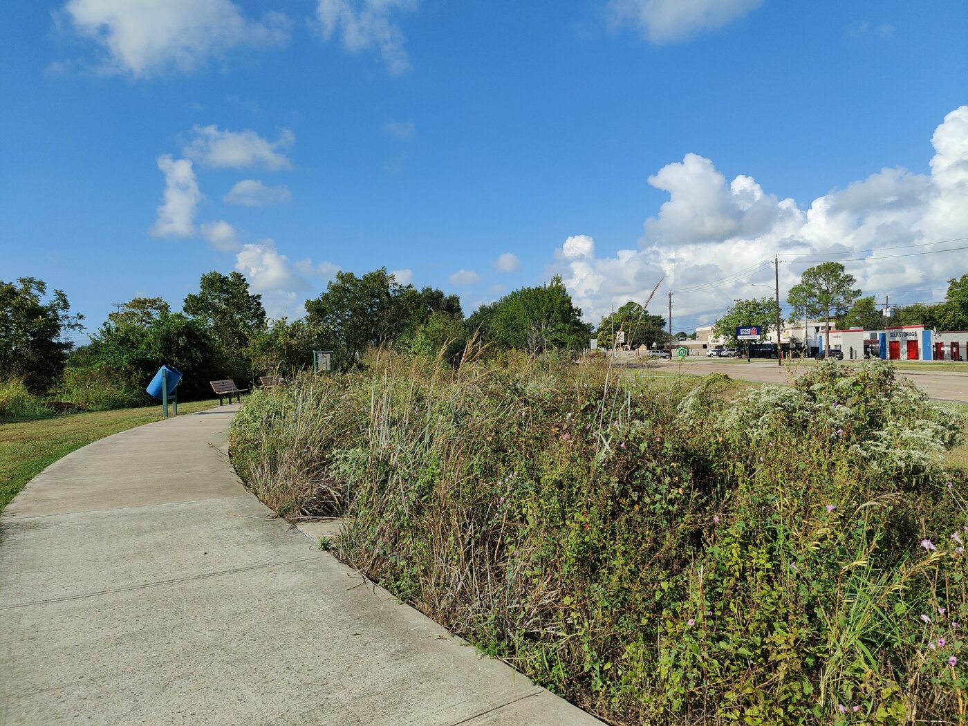 A planted strip of tall prairie grasses and wildflowers beside a paved walking path and mowed lawn