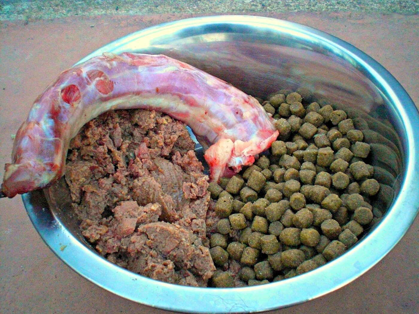 A steel bowl of dog food with a raw meat piece, minced meat and dry kibble pellets