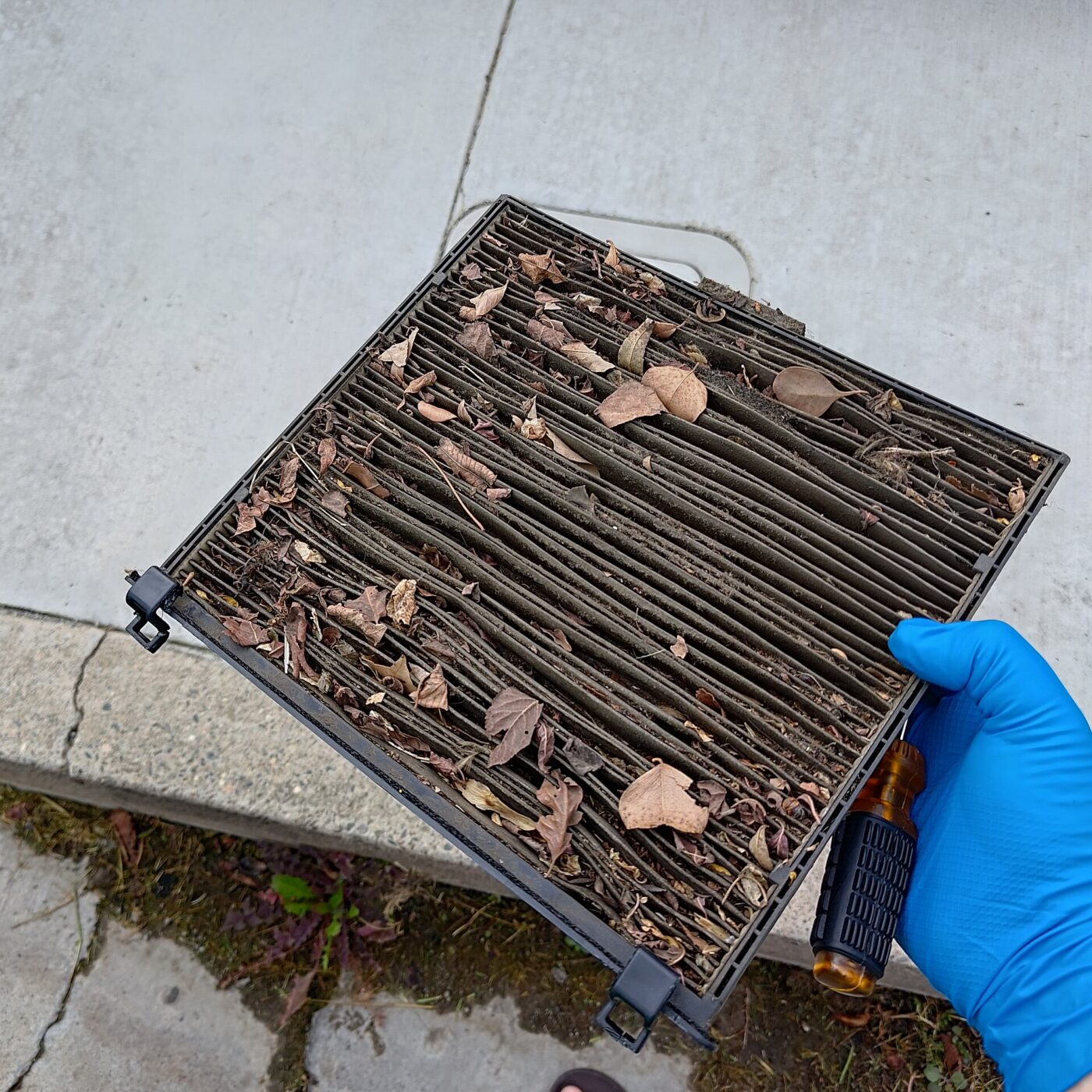 A gloved hand holds a pleated cabin air filter packed with dry leaves and grit.