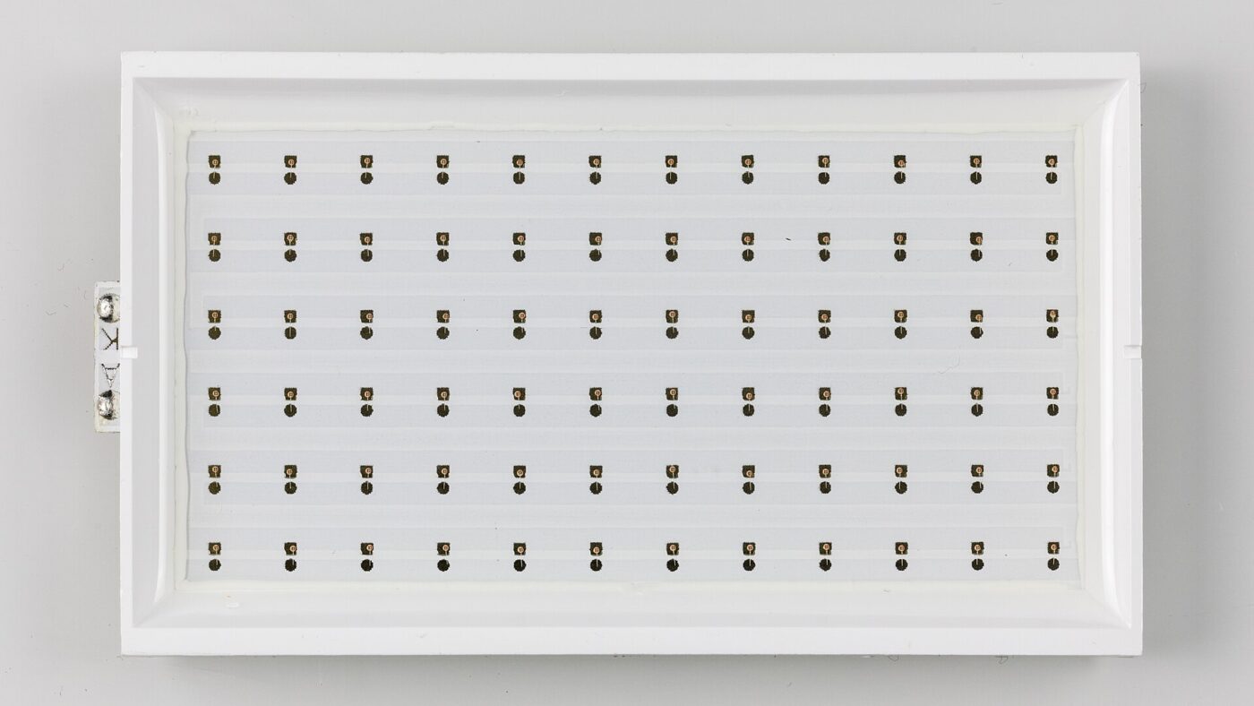 An LED backlight panel from an LCD display, with small LEDs arranged in an even grid