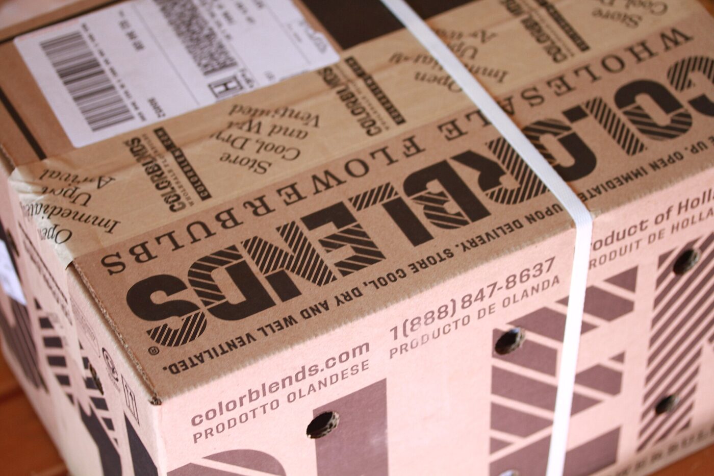 A taped and strapped corrugated shipping box carrying printed shipping labels.