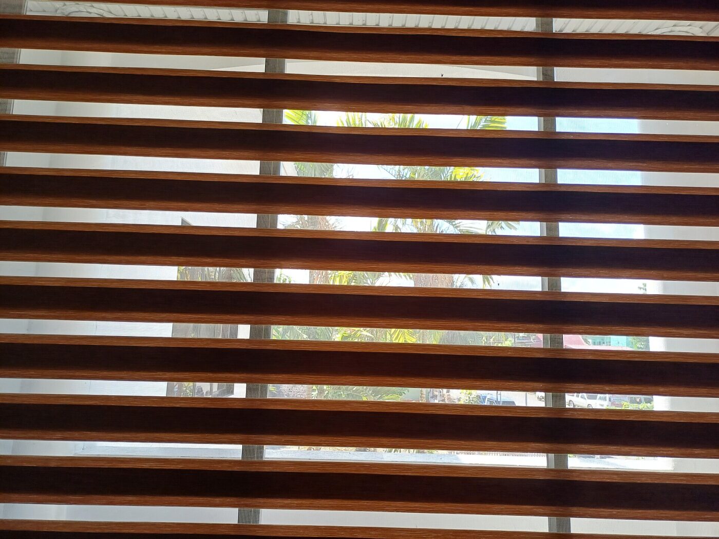 Horizontal venetian window blinds seen from inside with daylight coming through the slats