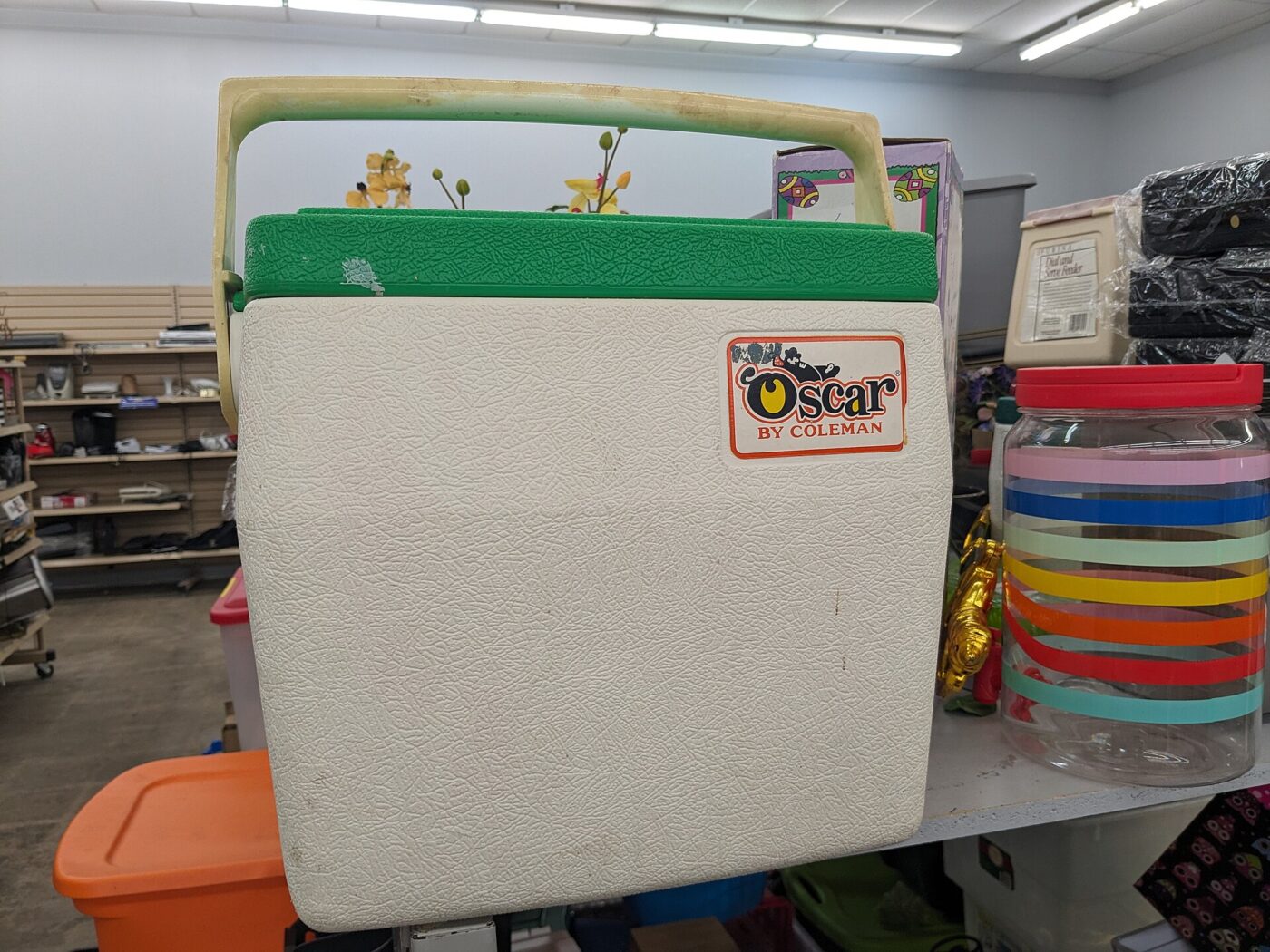 A white hard-sided Coleman cooler with a green lid and a swing handle, displayed in a shop