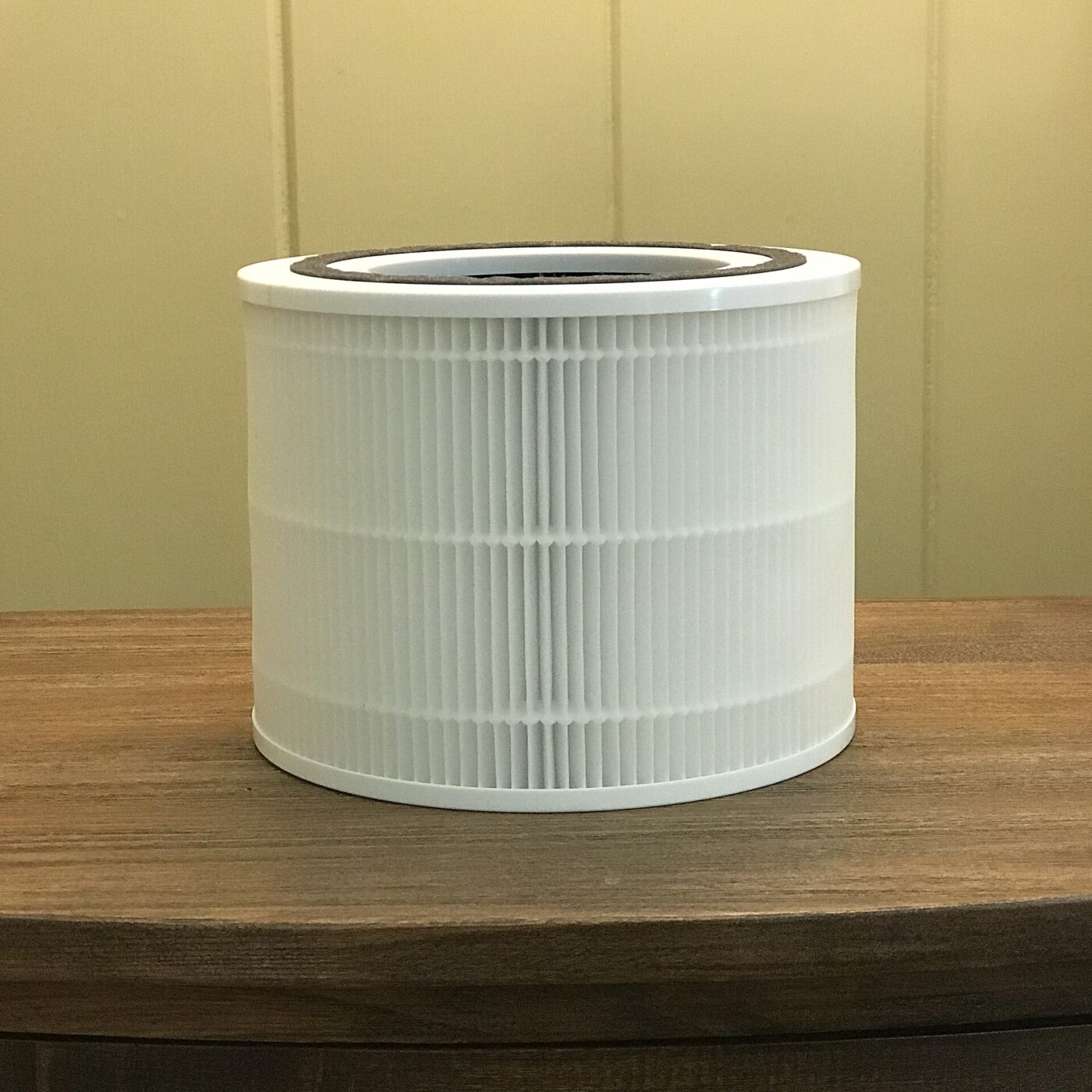 A cylindrical replacement filter with pleated paper and a carbon layer, standing on a table.