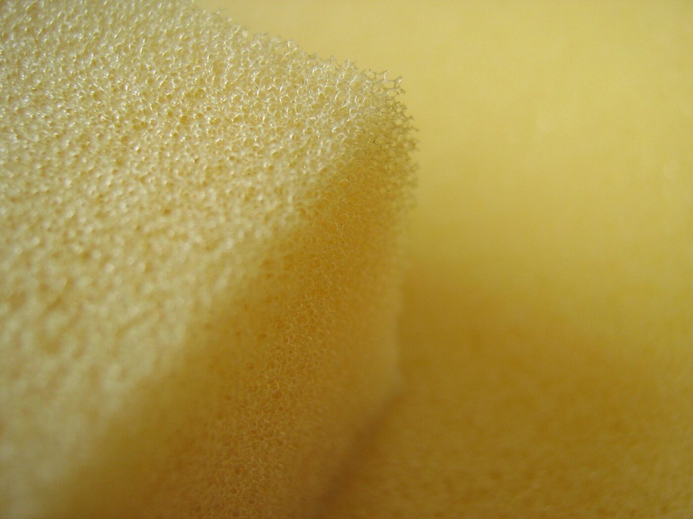 Close up of the cut edge of a polyurethane foam block, showing its open cell structure.