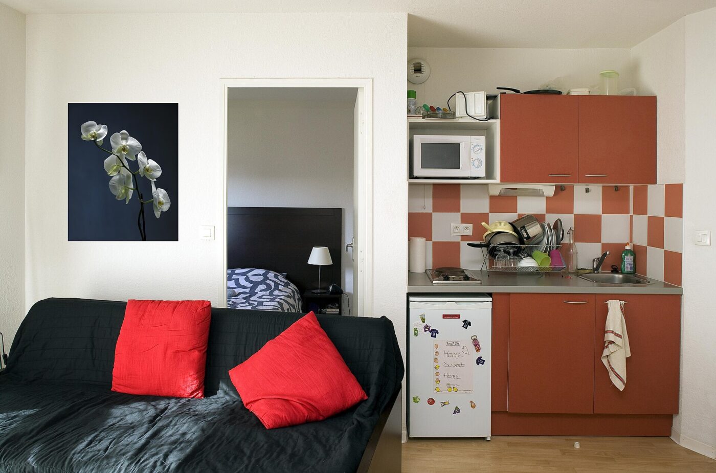 A compact studio apartment with a sofa bed, small refrigerator and a narrow kitchenette